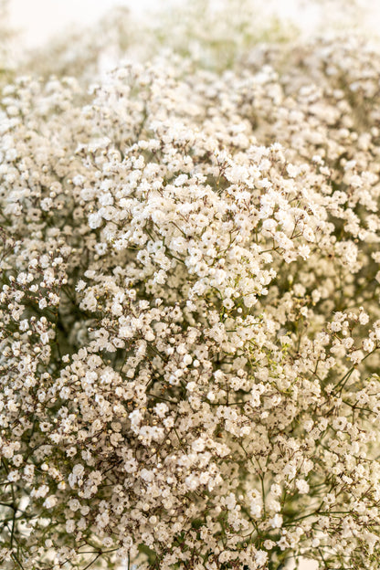 White Poetry