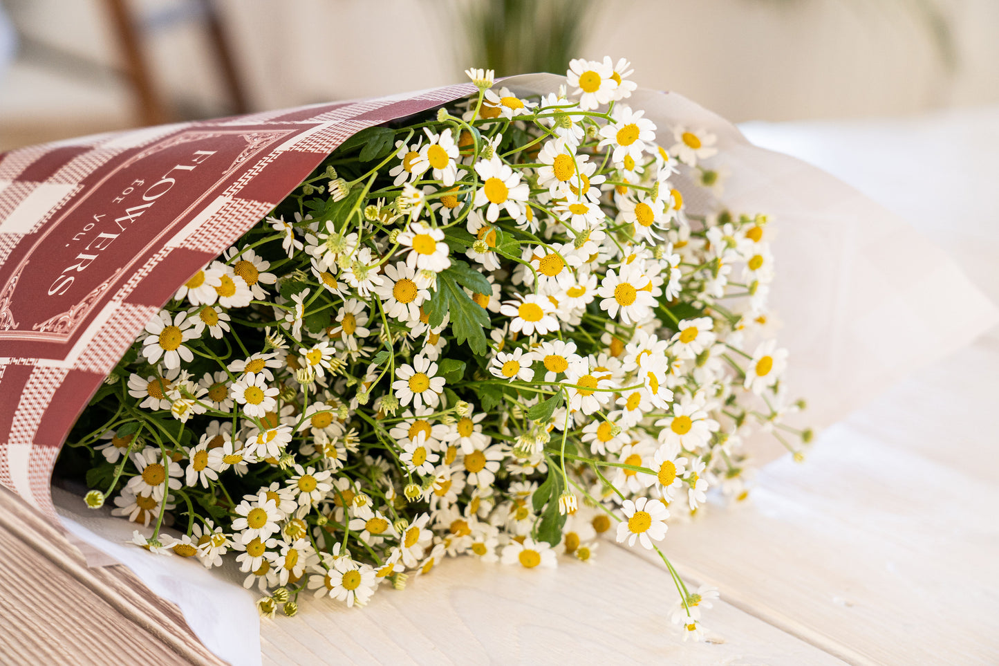 Wild Chamomile