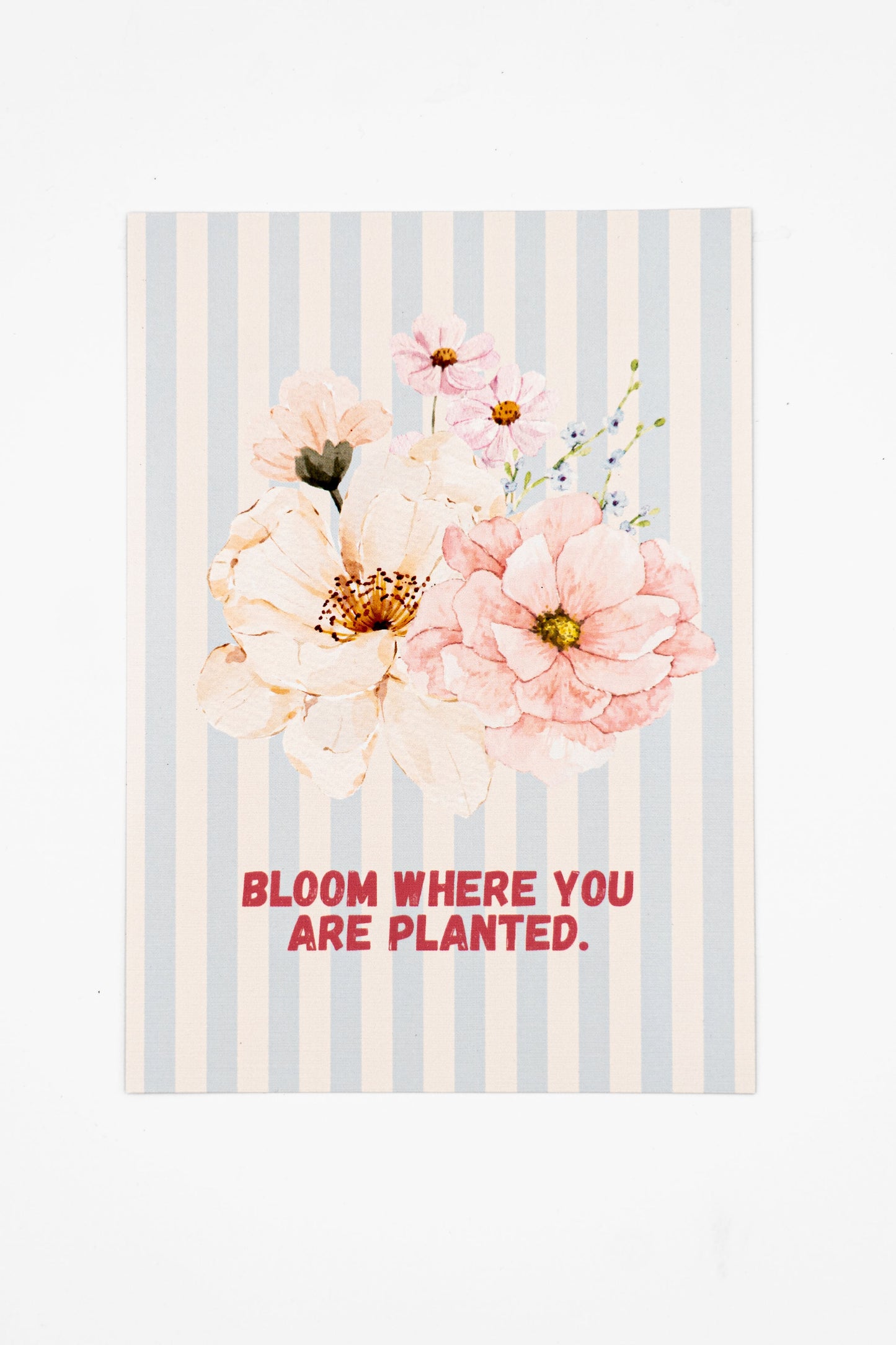 Bloom