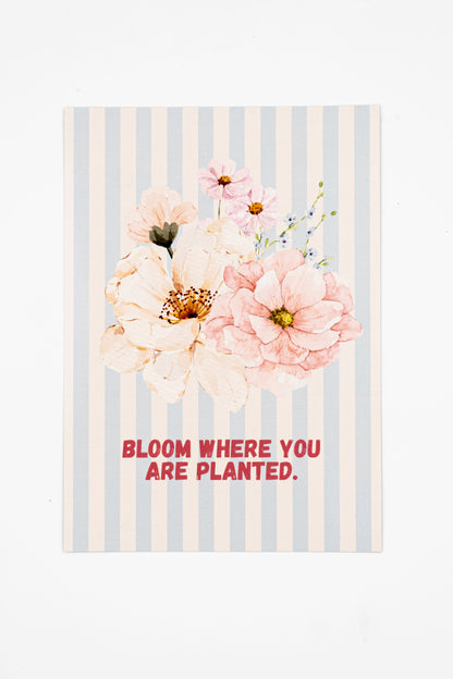 Bloom