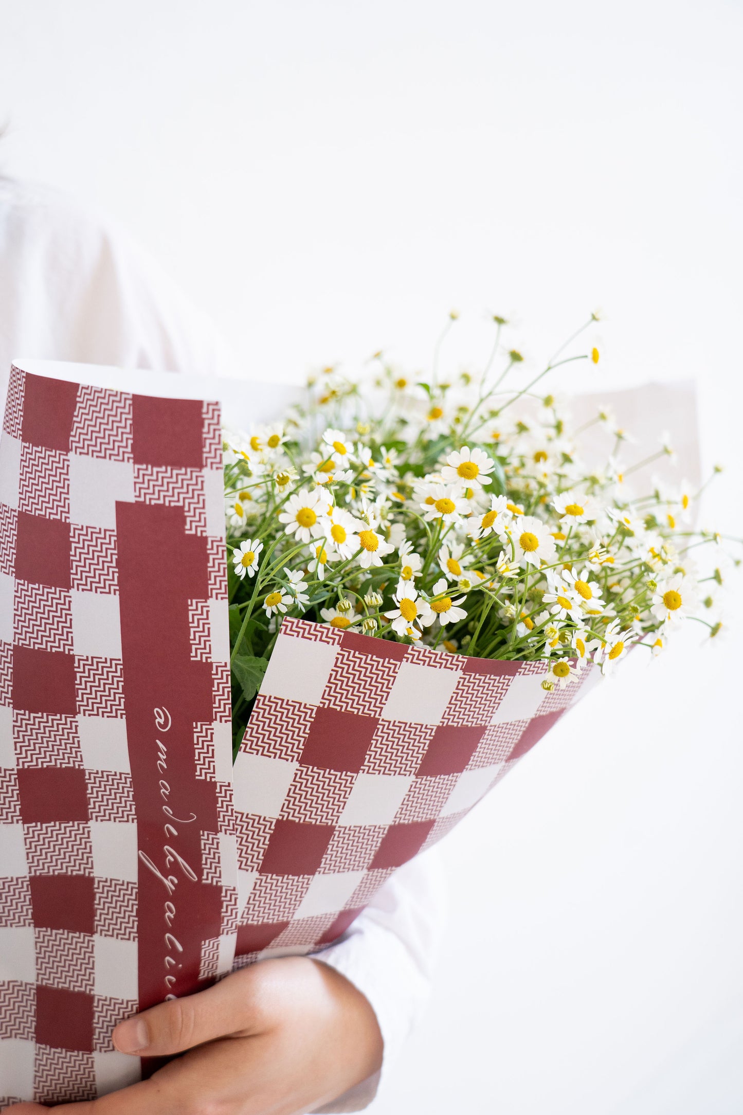Wild Chamomile